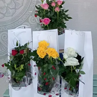 Sacola com roseira 
