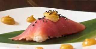 Tonno (maguro)