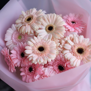 Bukiet z różowych Gerberów i goździków