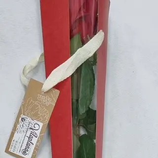 ROSA INDIVIDUAL DE REGALO