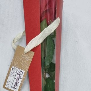 ROSA INDIVIDUAL DE REGALO