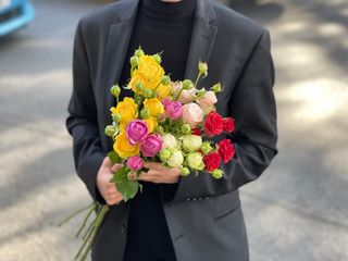 ფერადი სფრეი ვარდი 5 ცალი