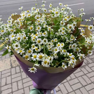 Букет Ромашка 