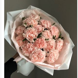 Claveles 17 unidades 