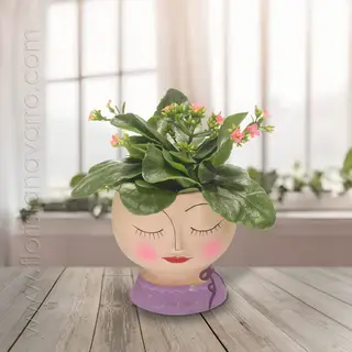 Lady Kalanchoe