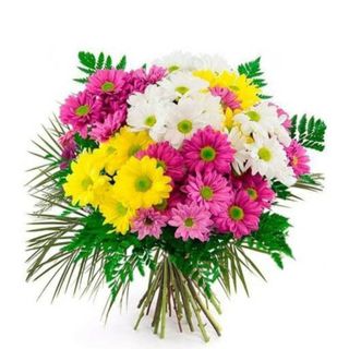 Ramo  Margaritas multicolor 
