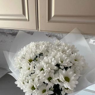 Хризантеми ромашка 5 гілок 