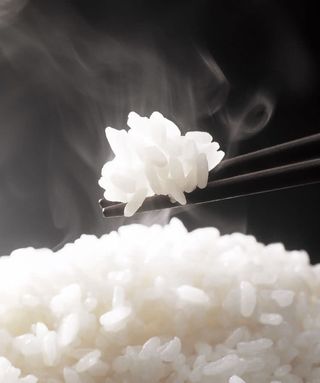 90. Gohan Arroz Blanco Japonés