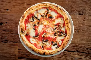 FUNGHI
