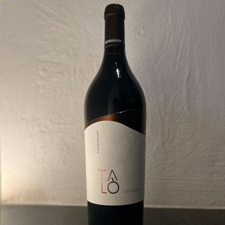 Negramaro I.G.P Salento