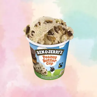B&J's Barattolo Gelato Peanut Butter Burro d'Arachidi