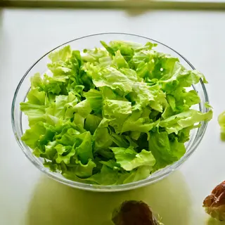 Zelena salata