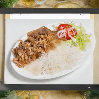Plato kebab con arroz solo carne