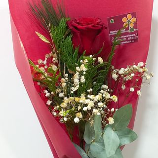 Rosa especial navidad