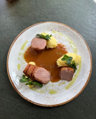 Pork Tenderloin with Mashed Potatoes