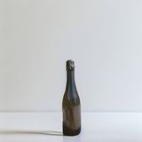 Forns Raventós Ortus Blanc de Noirs