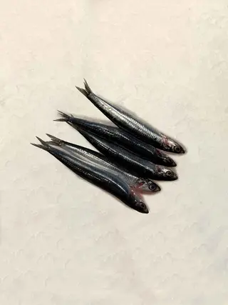 Boquerón Grande Galicia (400 Gr.)
