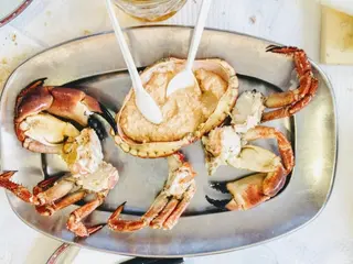 Santola