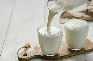 Jogurt 500 ml