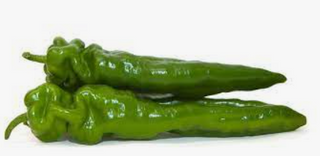 Pimiento Italiano