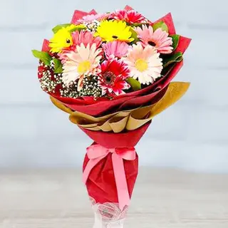 Gerbera misto