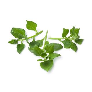 Espinafre Nova Zelandia Bio Emb - Kg