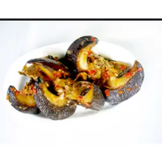 Snail
