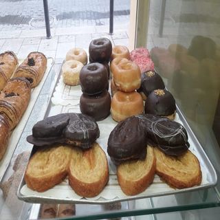 Palmeras Blancas (1 Ud.)