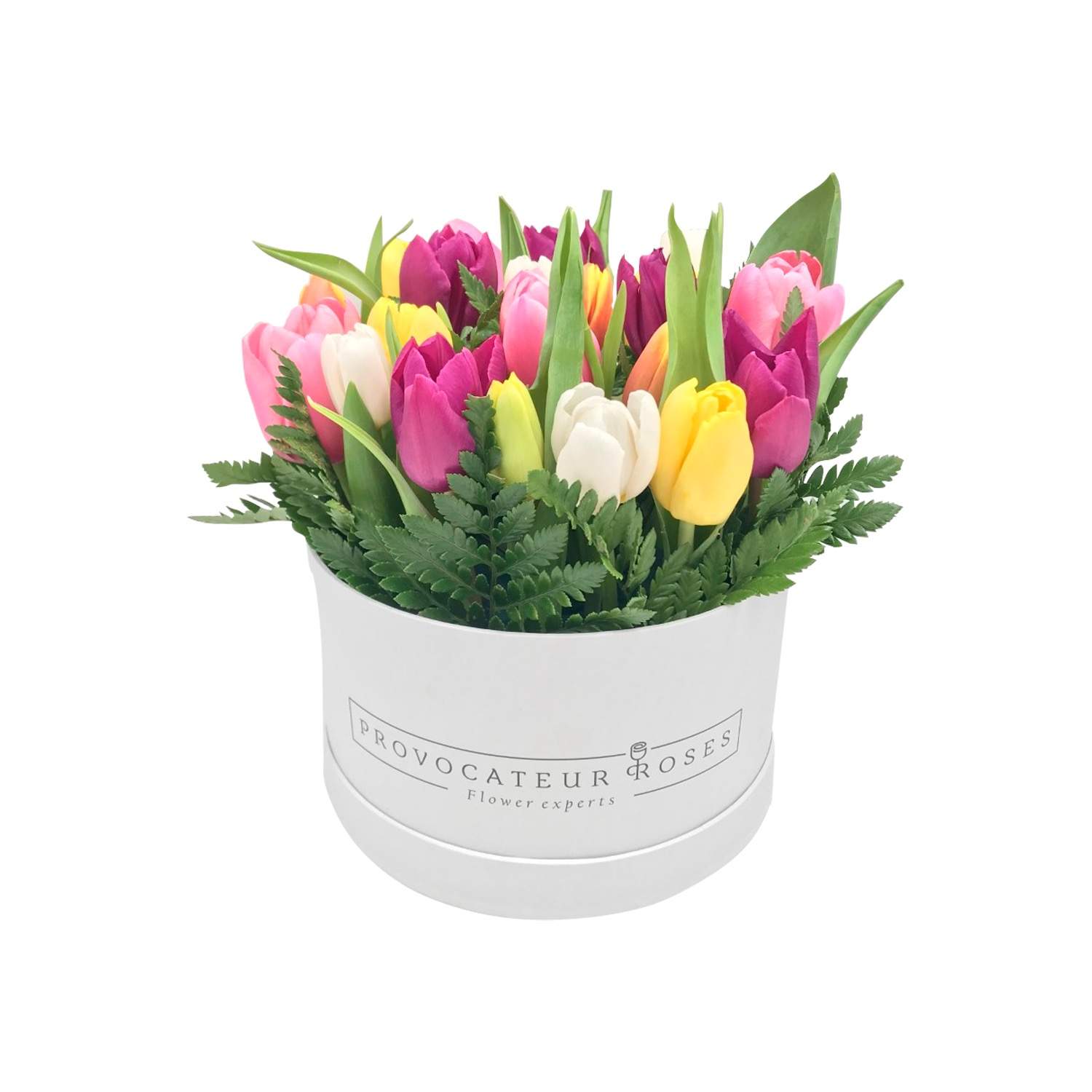 Caja de 20 tulipanes multicolor