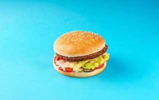 СД гамбурнер гов