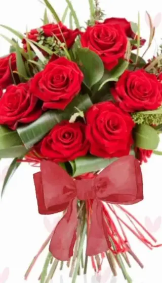 10 Roses Rouges