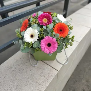Aranjament Gerbera