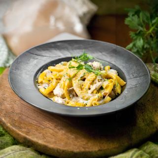 Alfredo piletina pasta