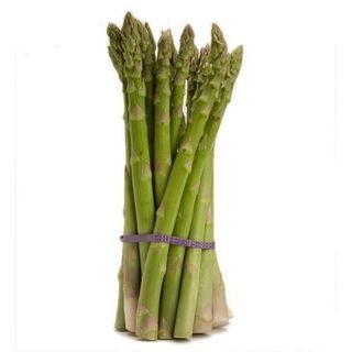 092.Espárragos Trigueros Medianos Plancha 