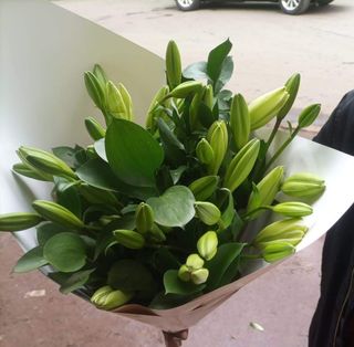 A Bouquet of Fresh  Lilies