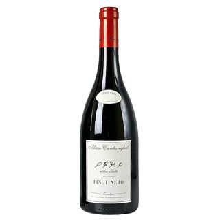MASO CANTINGHEL (pinot noir)