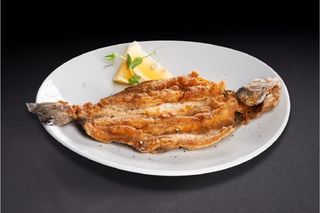 Златна пъстърва