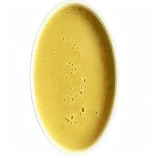 Salsa Mostaza Miel (0.50 Ml.)