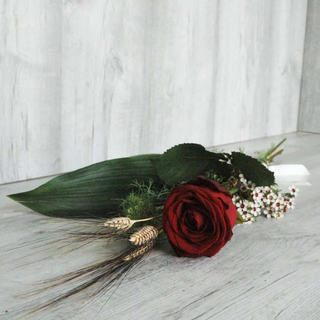 Rosa Especial Sant Jordi