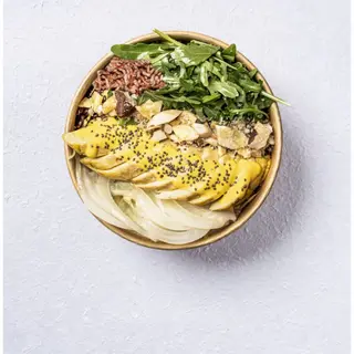 Selene bowl la succulenta