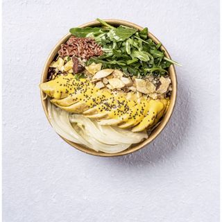 Selene bowl la succulenta