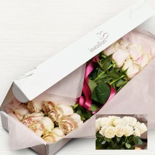 Cutie 11 trandafiri albi