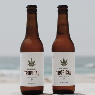 Cerveja de Cânhamo Artesanal