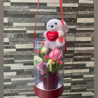 Box transparente variée