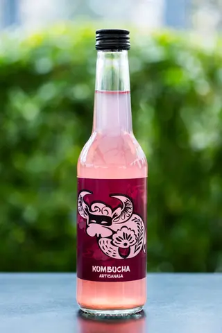 KOMBUCHIUS RODIE