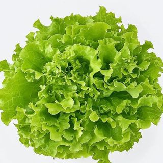 Лист салата (10 г)