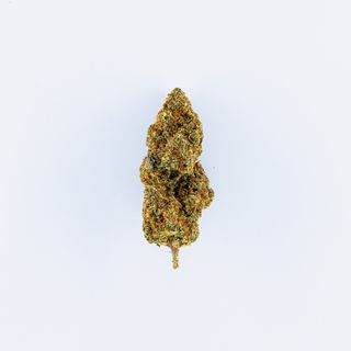 Girl Scout Cookies 2G - Indoor