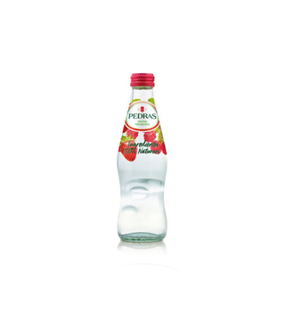 Água com Gás Sabores 250ML