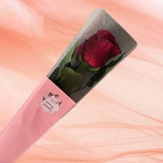 Trandafir rosu in ambalaj