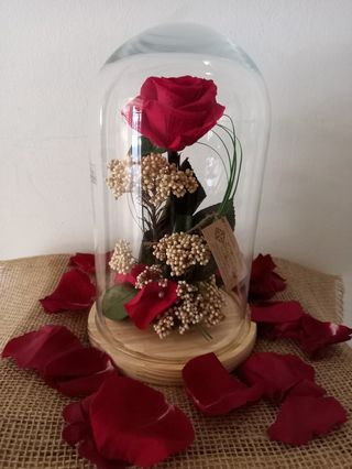 Cúpula Rosa Eterna Roja